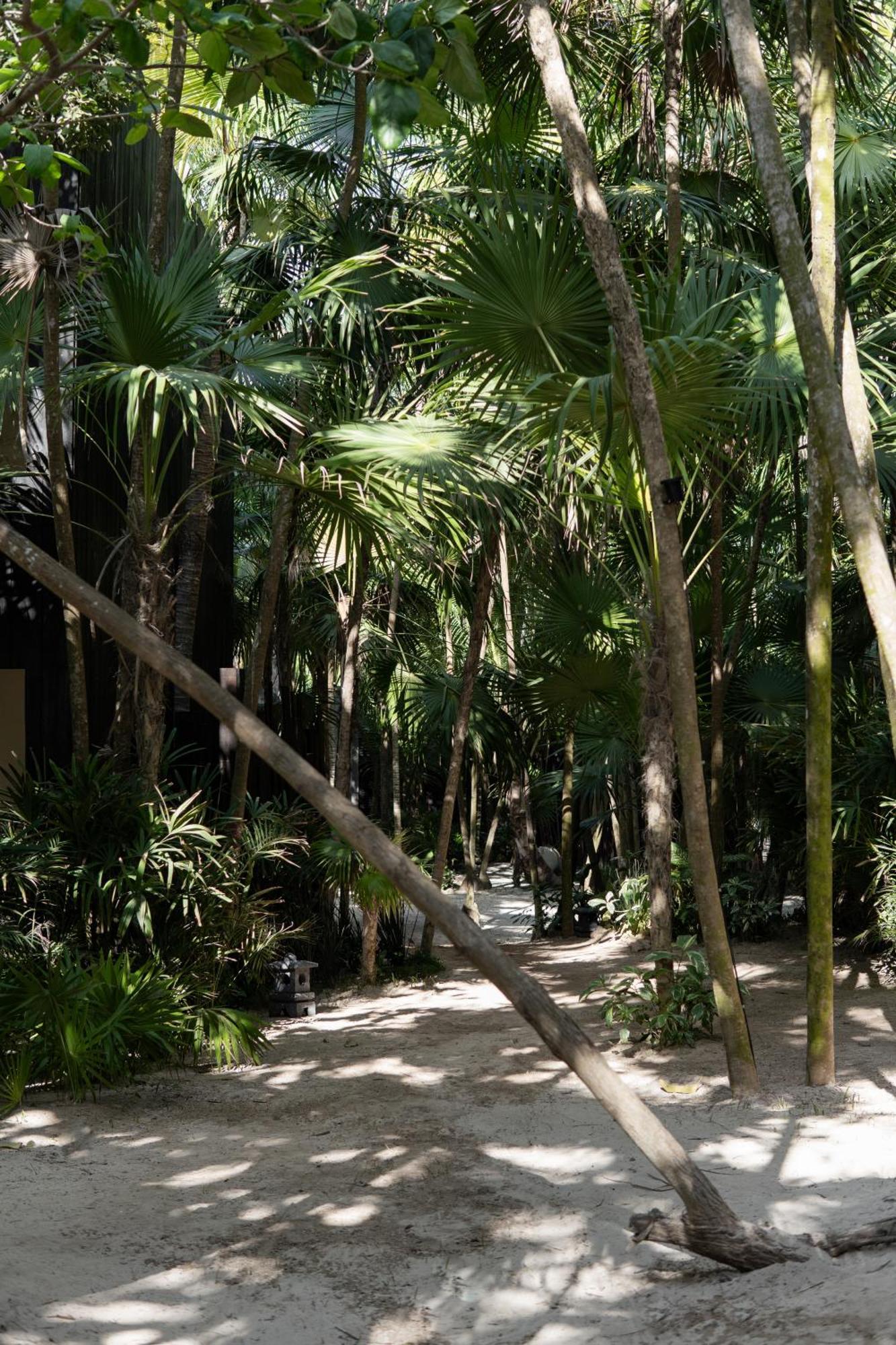 Hotel Umi Tulum Exterior foto