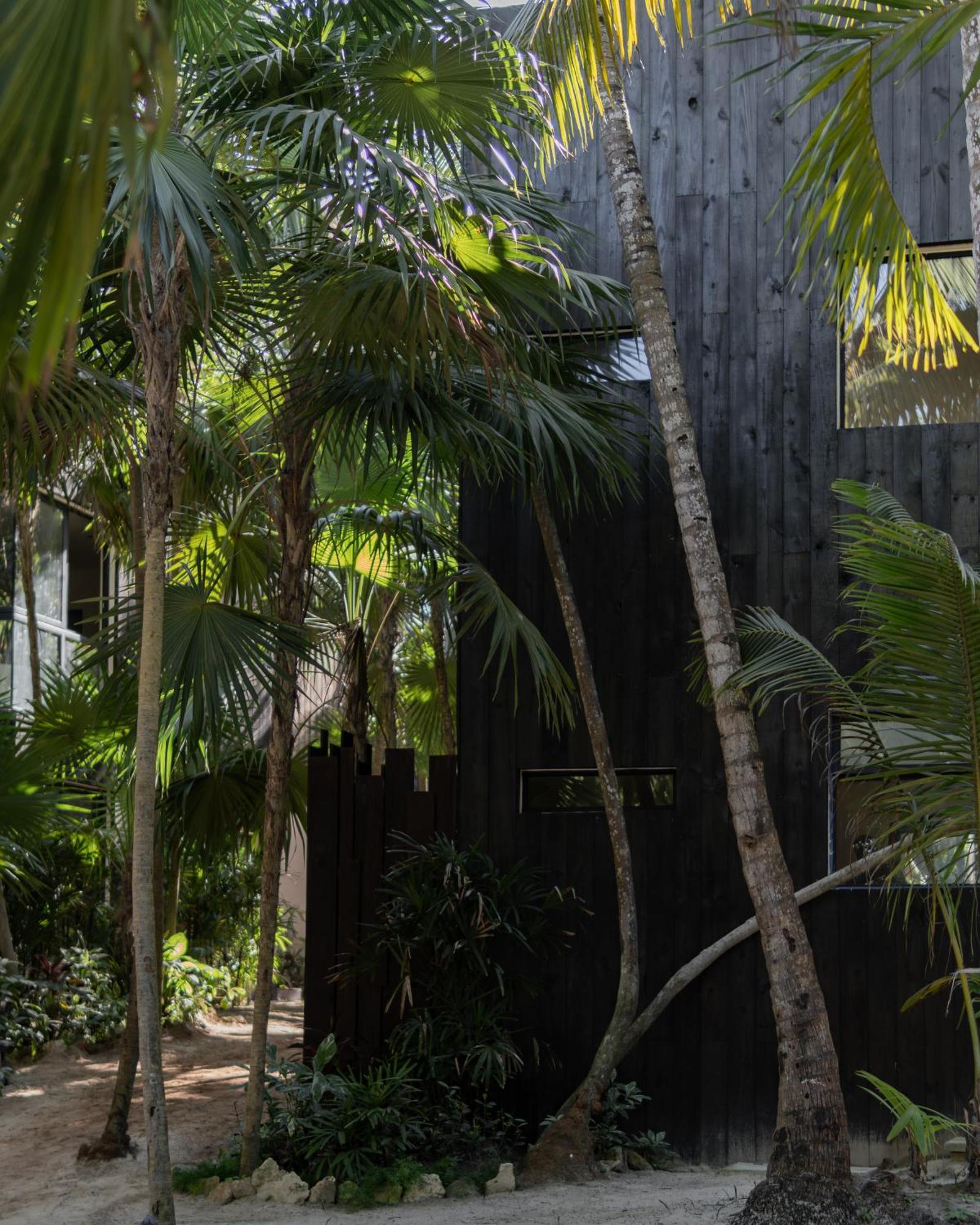 Hotel Umi Tulum Exterior foto